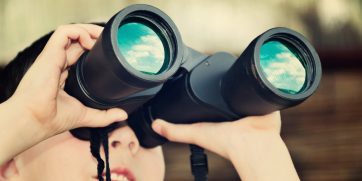Travel Tip of the Day: Which Binoculars To Get For Birdwatching