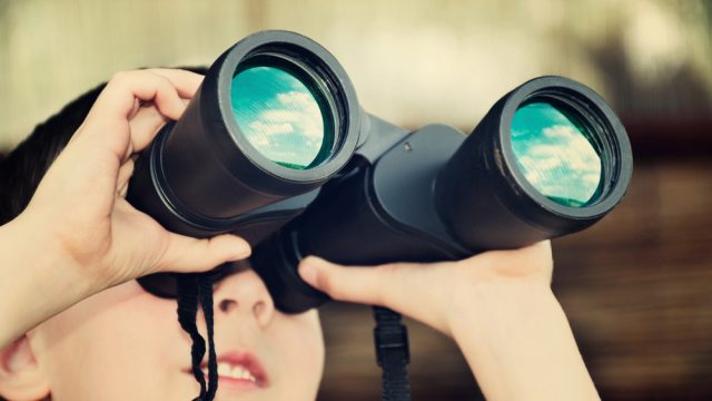 Travel Tip of the Day: Which Binoculars To Get For Birdwatching