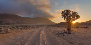 richtersveld wide