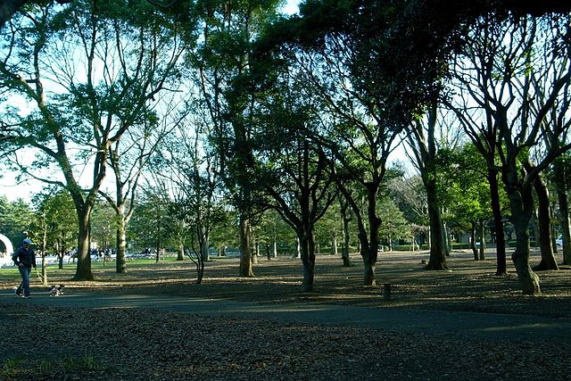 Yoyogi Park (Volfgang/Wikimedia Commons)