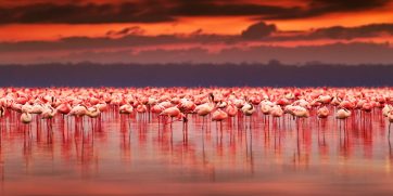15 Attractions In Kenya To Add To Your Bucket List
