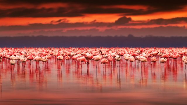 15 Attractions In Kenya To Add To Your Bucket List