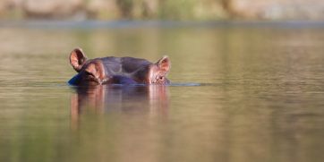 Travel Tip Of The Day: Before You Get In The Water, Be Sure To Ask A Guide