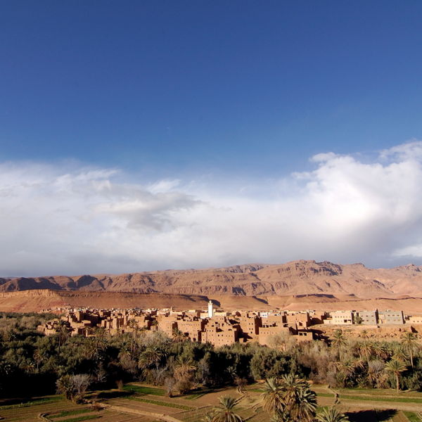 Tinerhir Oasis in Morocco
