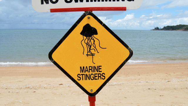 15 Most Dangerous Beaches In The World