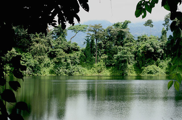 forest tour in cameroon