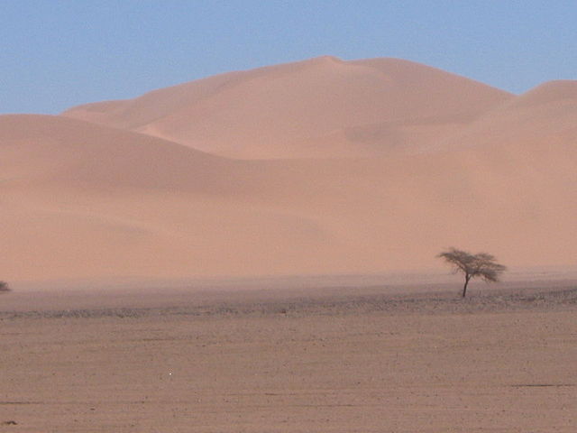 Sand dune in Egypt