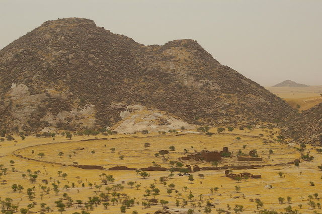 Quara in Chad