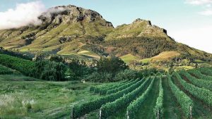 15 Things To Do On A Budget In Stellenbosch