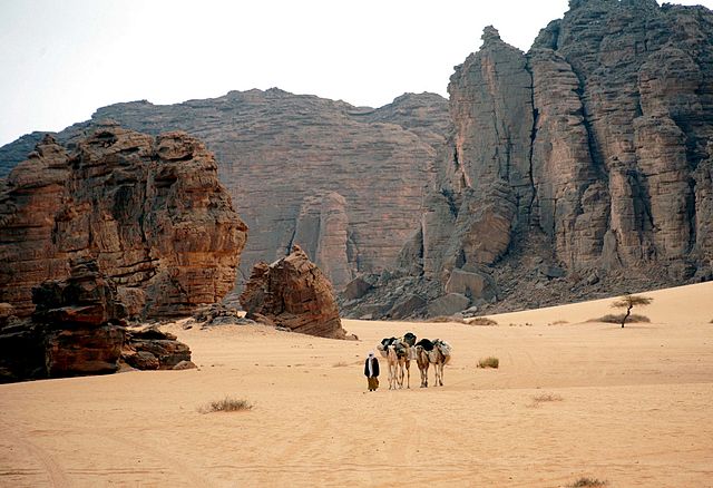 Bedouin with camels in Algeria