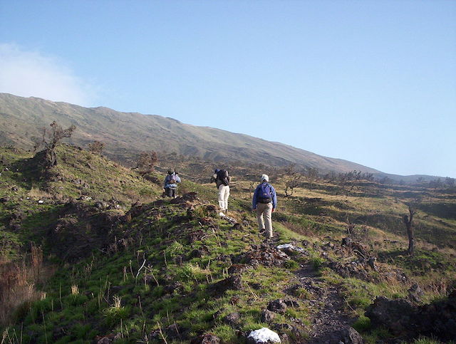 Tourists climbing Mount Cameroon 