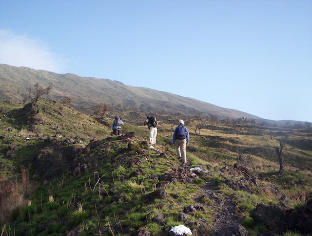 Tourists climbing Mount Cameroon