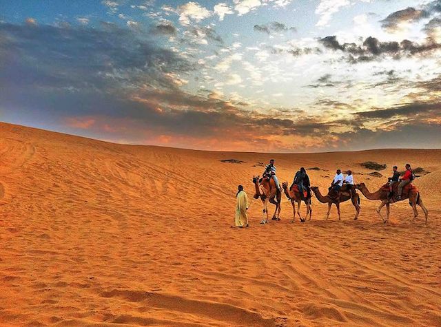 camel ride through the desert in sharm el sheikh