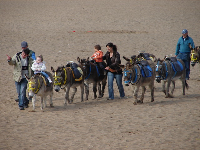 donkey rides in dar es salaam