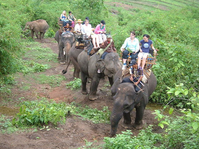 Elephant riding in Africa