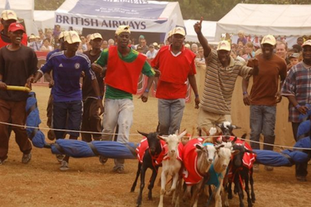 goat racing in dar es salaam