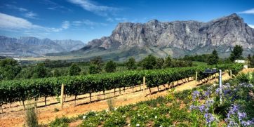 day trips from cape town