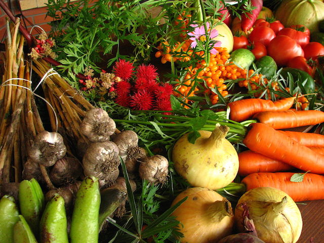vegetables at Swakopmund
