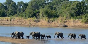 South_Luangwa_National_Park in zambia