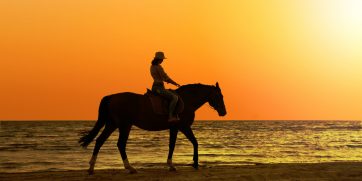 horseback riding beach