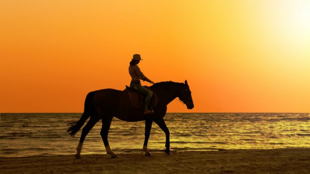 horseback riding beach