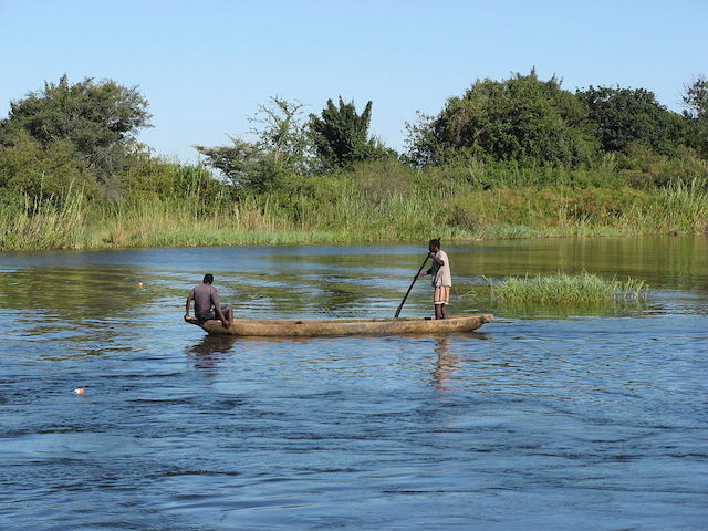 lower zambezi in the national park in zambia