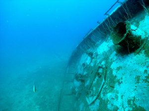 Bow of the MV Dania