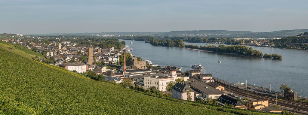 Rüdesheim, on the banks of the Rhine