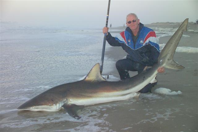 shark fishing in namibia