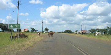 swaziland motorcycle tour