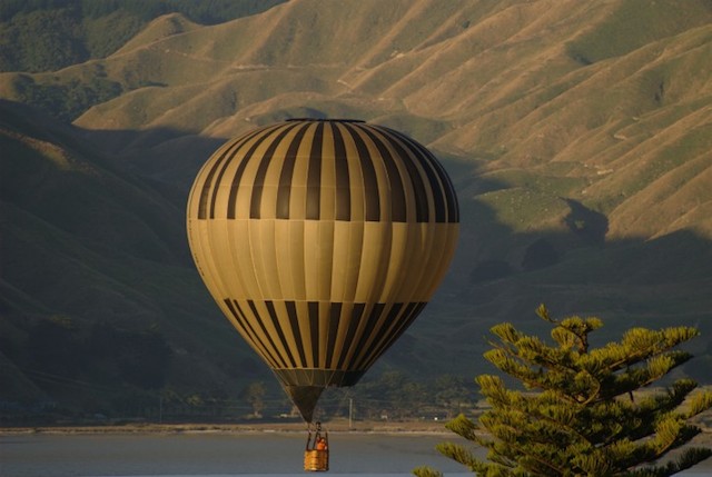 hot air balloon winelands