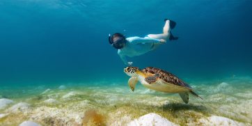 Diving and snorkeling in Zanzibar