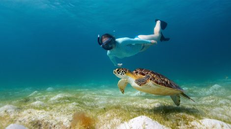 Travel Tip: Where to Go Diving And Snorkeling In Zanzibar | AFKTravel