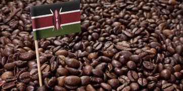 kenyan coffee