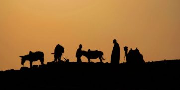 saqqara silhouette