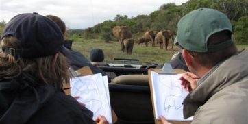 Kariega elephant monitoring