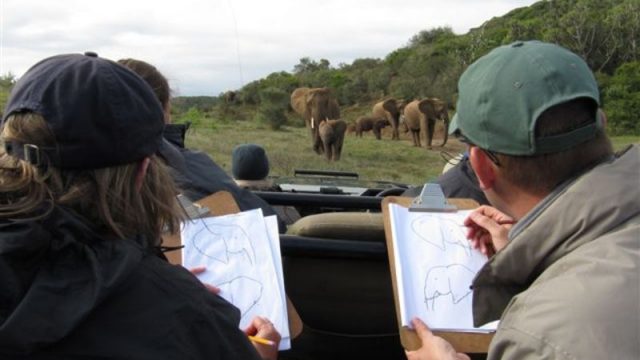 Kariega elephant monitoring