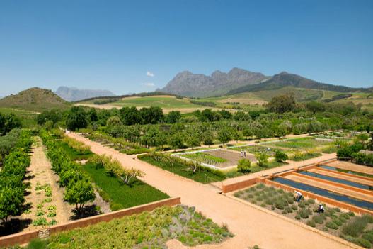 babylonstoren garden