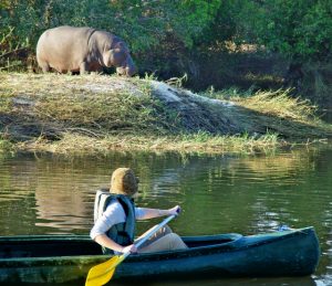 zambezi canoeing