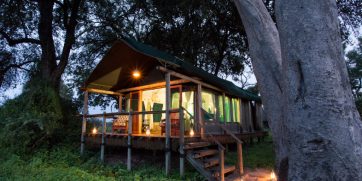 duba plains camp