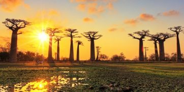 madagascar
