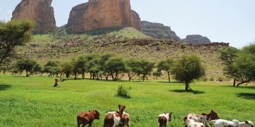 mountain in mali