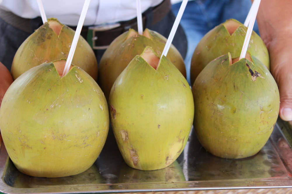 coconuts mauritius