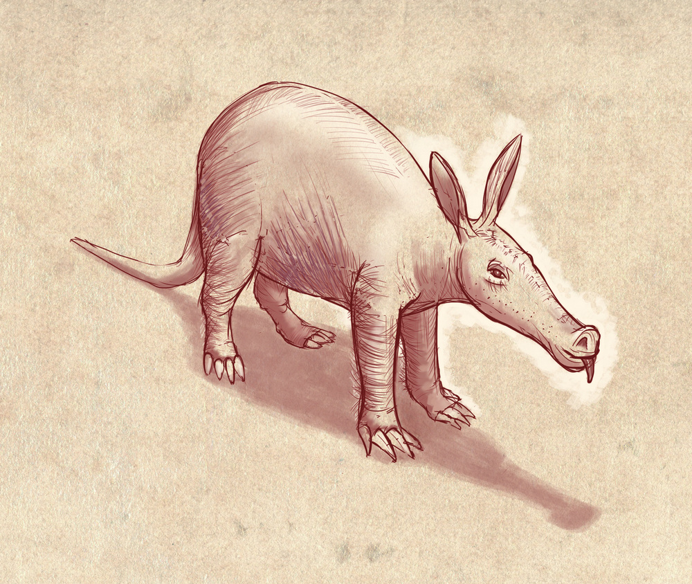 aardvark painting