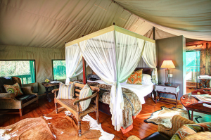 luxury tented suite at botlierskop