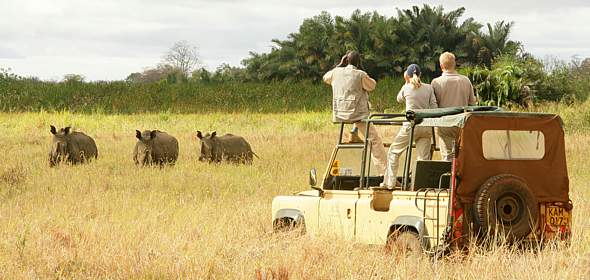 meru rhino