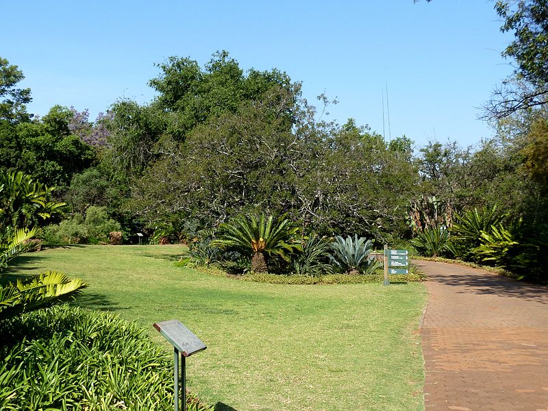 national botanical garden pretoria