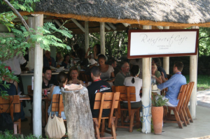 rainforest cafe victoria falls