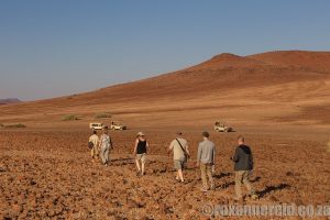 desert rhino camp