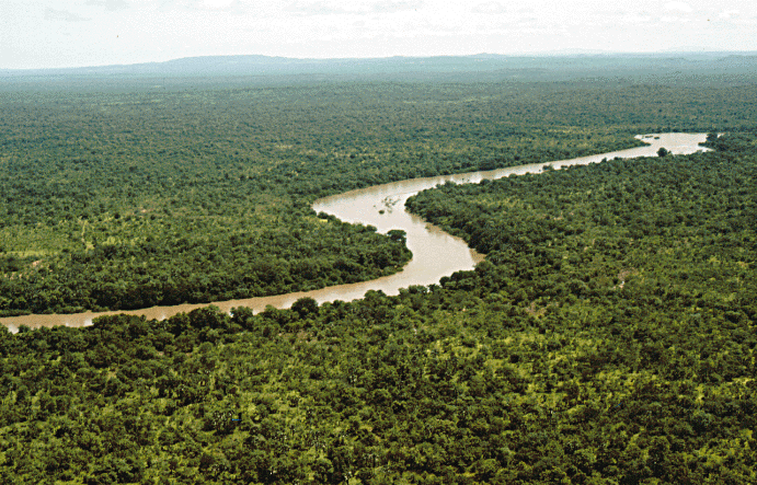 gambia river niokolo koba